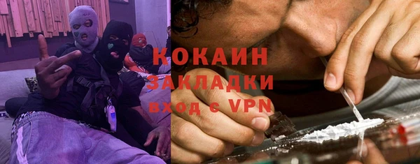 стаф Алзамай