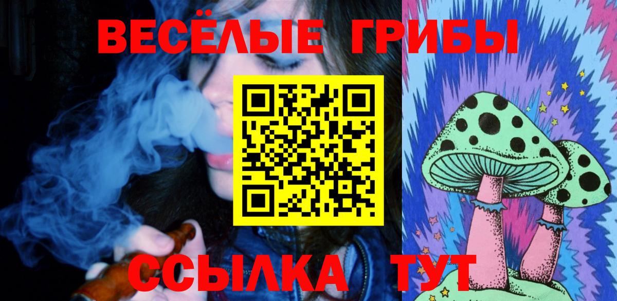 Галлюциногенные грибы прущие грибы Усть-Лабинск